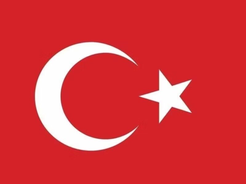 AY YILDIZLI BAYRAĞIMIZA UZANAN ALÇAK SALDIRIYI LANETLİYORUZ   